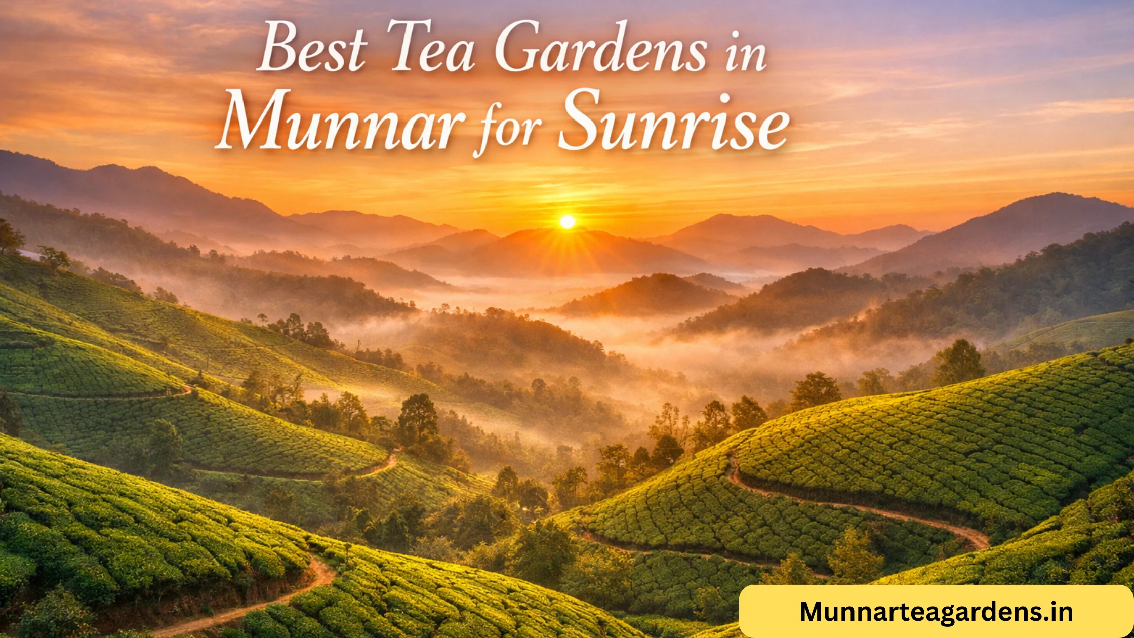 best tea gardens in munnar for sunrise