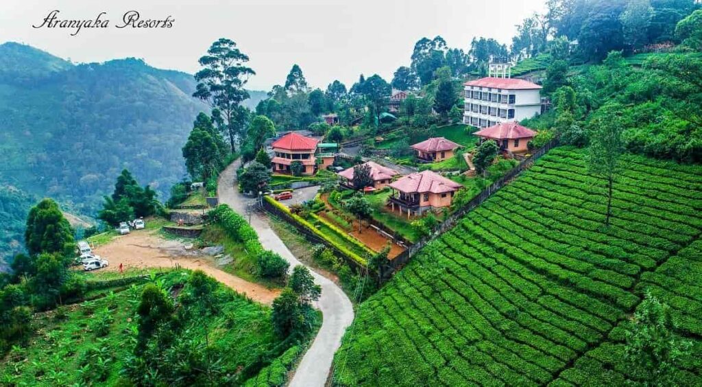 Pallivasal tea estate