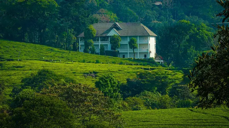 Chithirapuram tea estate