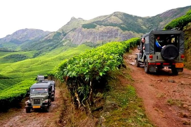 Kolukkumalai Jeep Safari