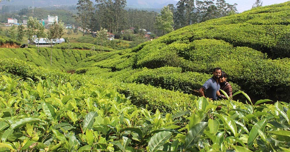 Kannan Devan Hills Plantations