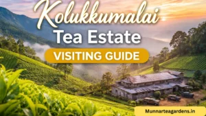 Read more about the article Kolukkumalai Tea Estate Visiting Guide (2026)