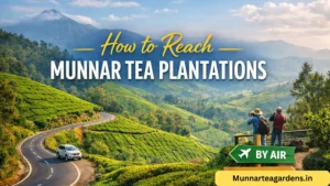 Read more about the article How to Reach Munnar Tea Plantations: Easy Travel Guide