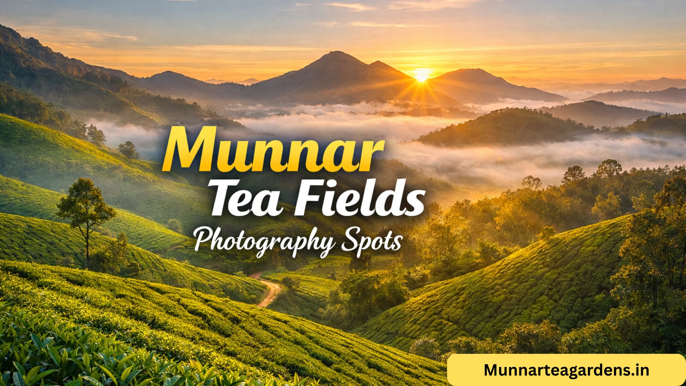 munnar tea fields photography spots