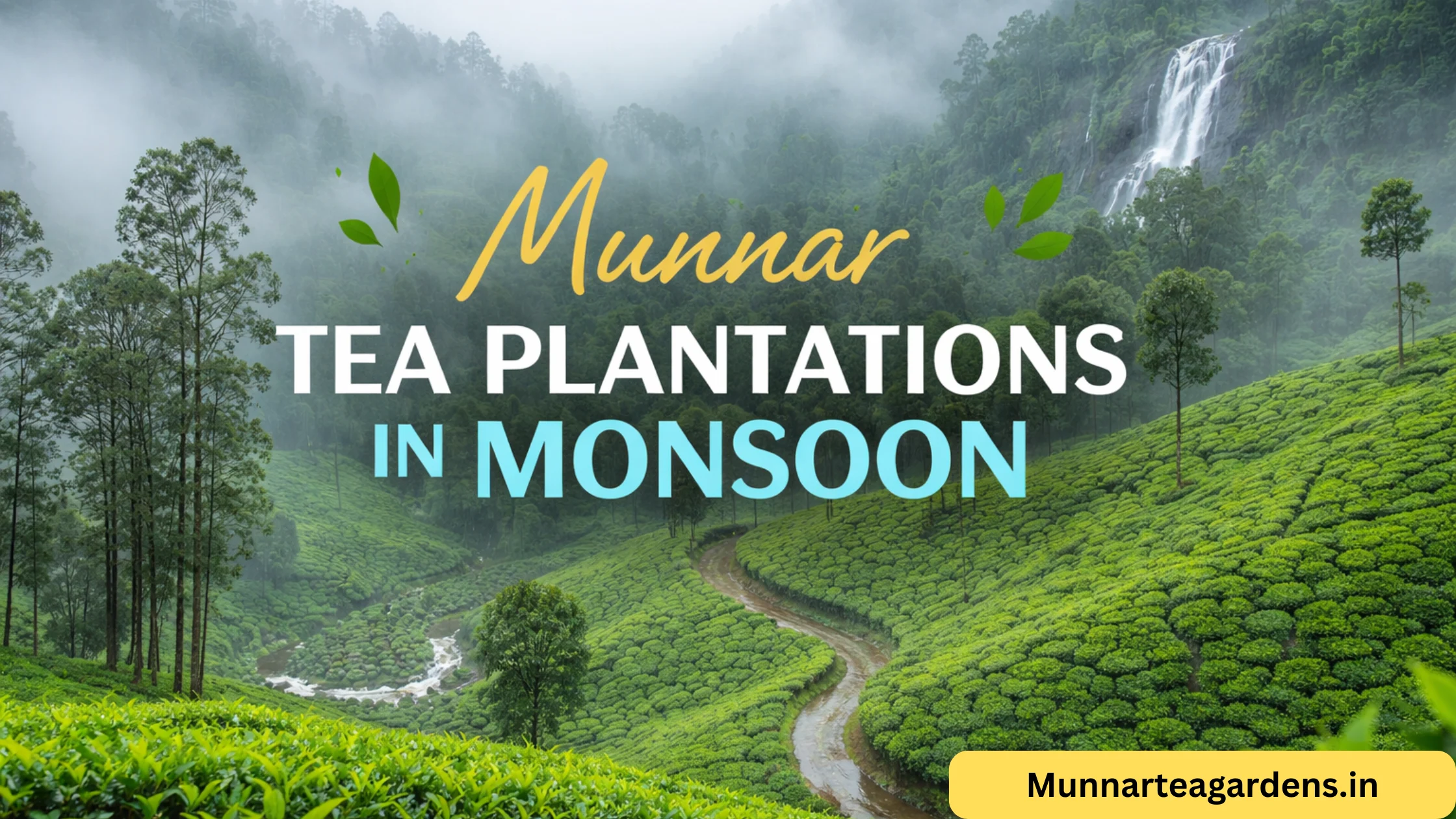 munnar tea plantations in monsoon