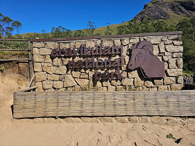 Eravikulam national park, Munnar

