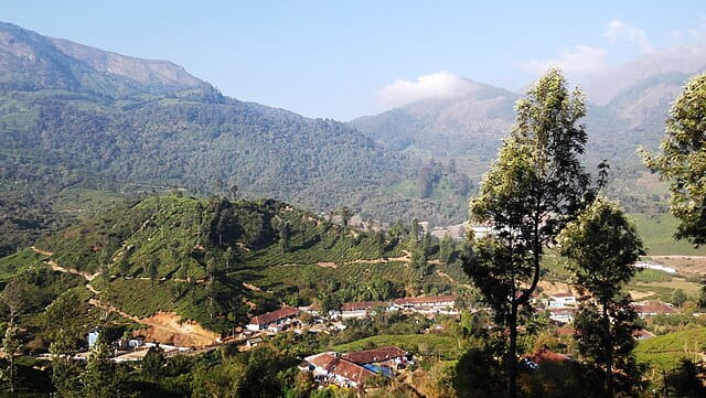 Kannan Devan Hills seen from State Highway