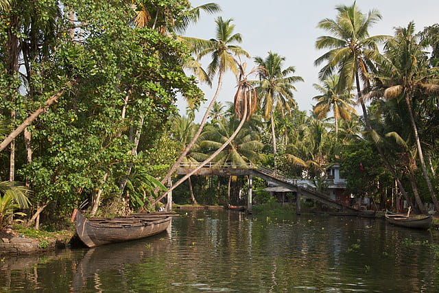 Kerala backwaters