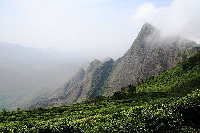 Kolukkumalai Tea Estate