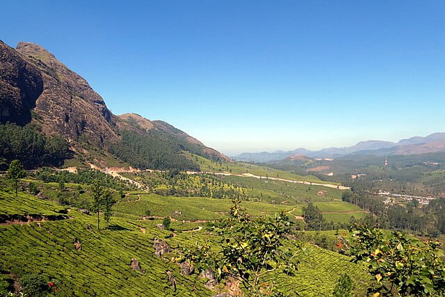Lockhart Tea Estate and State Highway 18, Kerala, India

