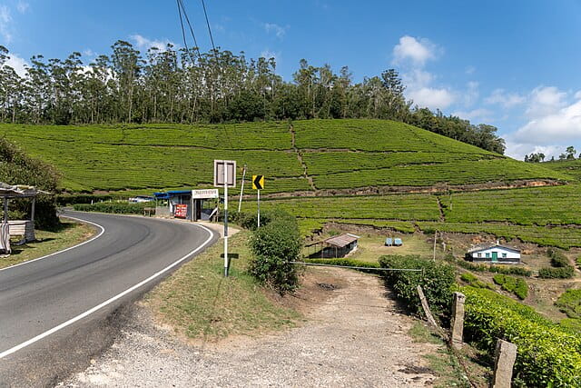 Munnar - Top Station Highway