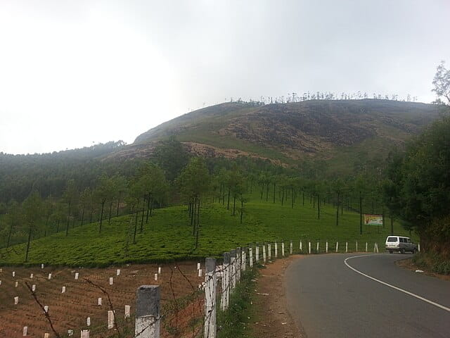 Munnar - snap from View point between Munnar and mattupetty