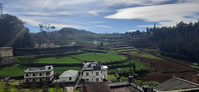 Serene OOTY Tea Gardens

