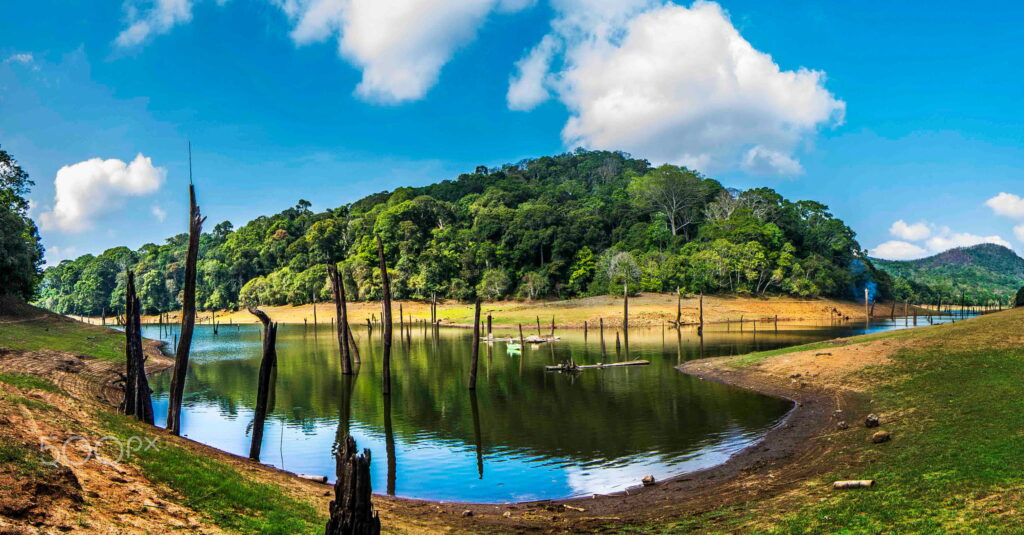 Periyar Lake