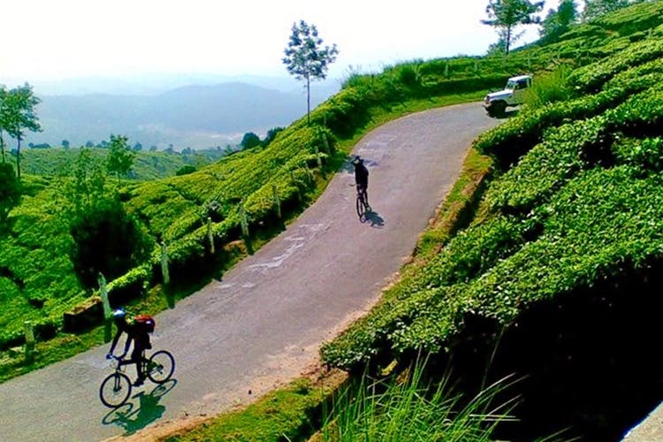 Cycling Tours Munnar