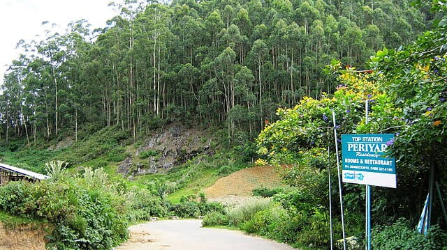 Top station road, Munnar