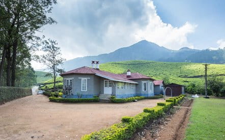 Devikulam estate