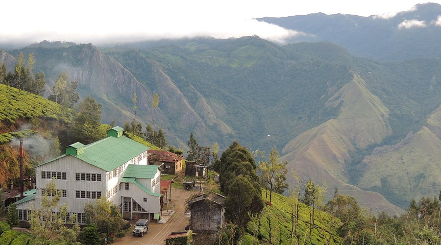 Kolukkumalai Estate Bungalow