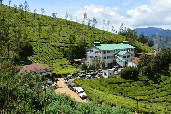 kolukkumalai tea factory