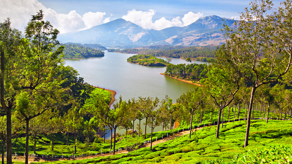 Munnar 