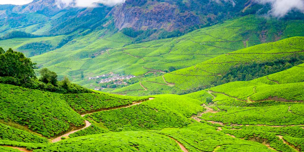 Kolukkumalai Tea Estate
