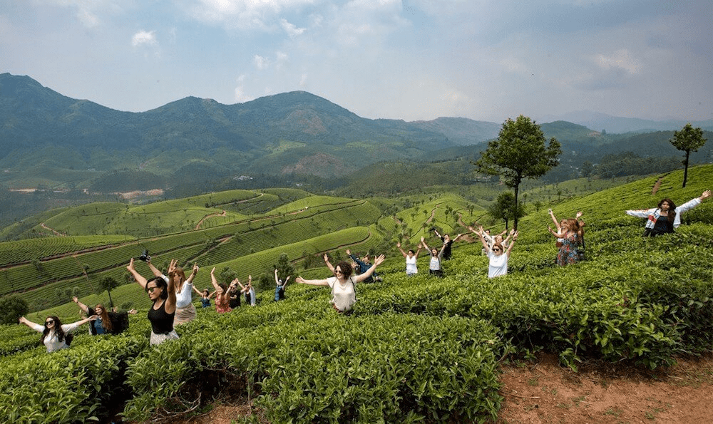 munnar Tea Garden Walks