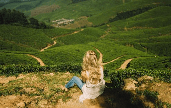 Chinnakanal Tea Plantations