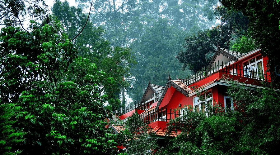 tea valley resort 