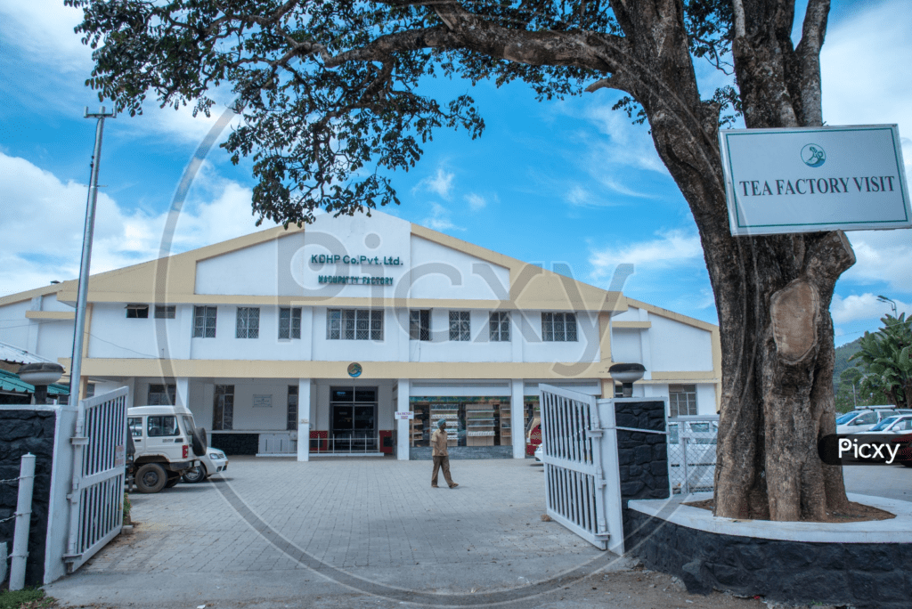 KDHP Tea Factory