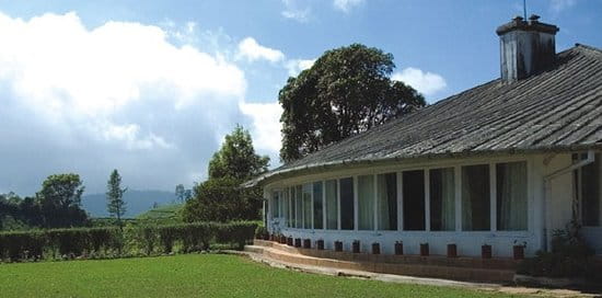 Tea Sanctuary Munnar