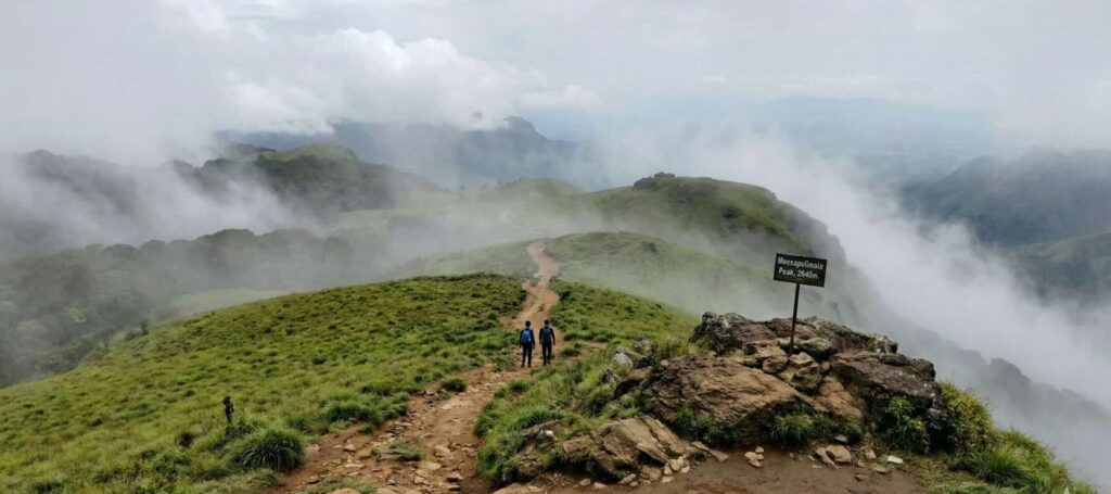 Meesapulimala Tea Estate with trekking