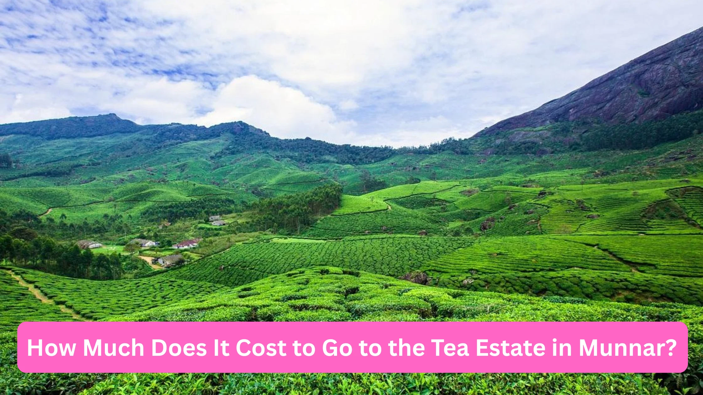 Read more about the article How Much Does It Cost to Go to the Tea Estate in Munnar? (2026 Complete Guide)