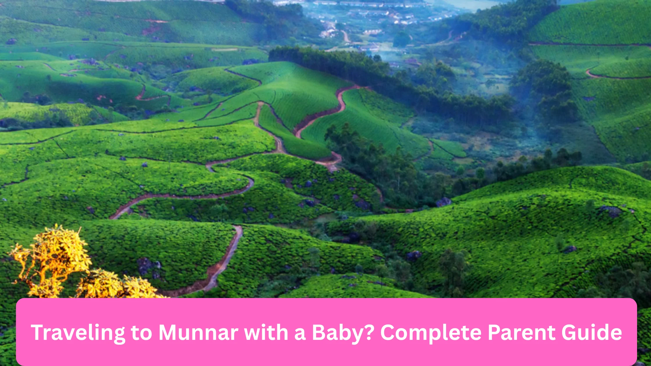 You are currently viewing Traveling to Munnar with a Baby? Complete Parent Guide