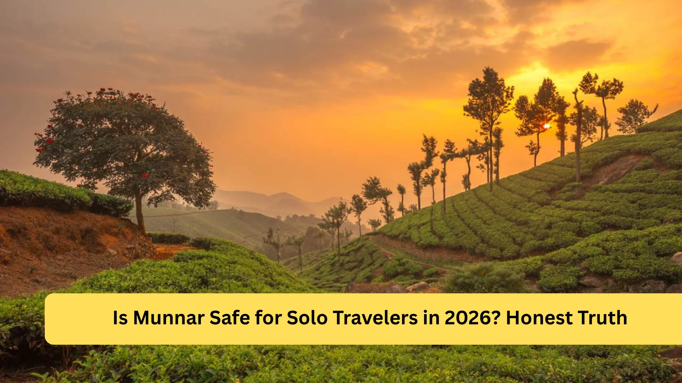 You are currently viewing Is Munnar Safe for Solo Travelers in 2026? Honest Truth