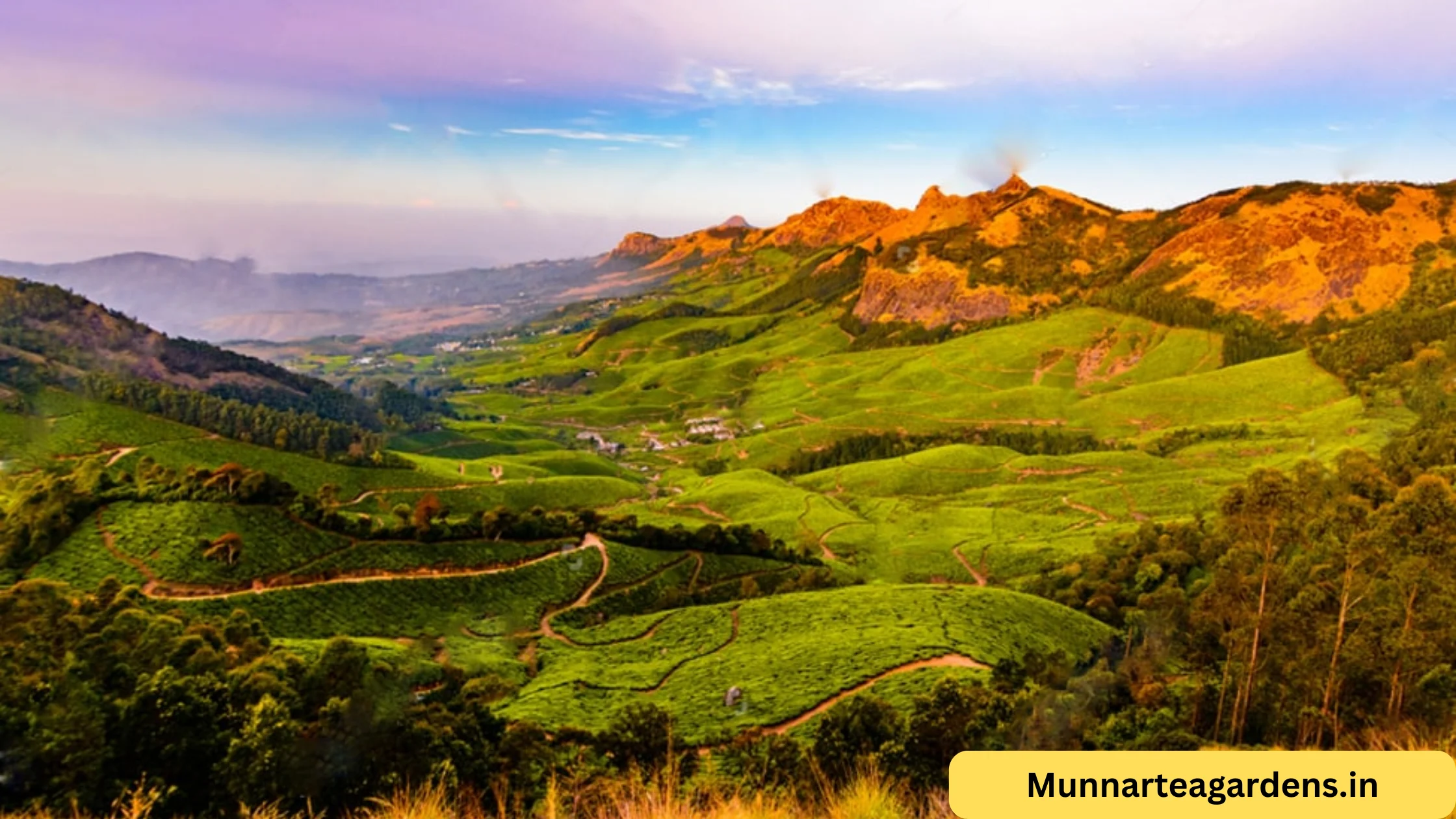 Read more about the article The Green Revolution: Facing Munnar’s 2026 Plastic Ban and Requirement for Responsible Travel