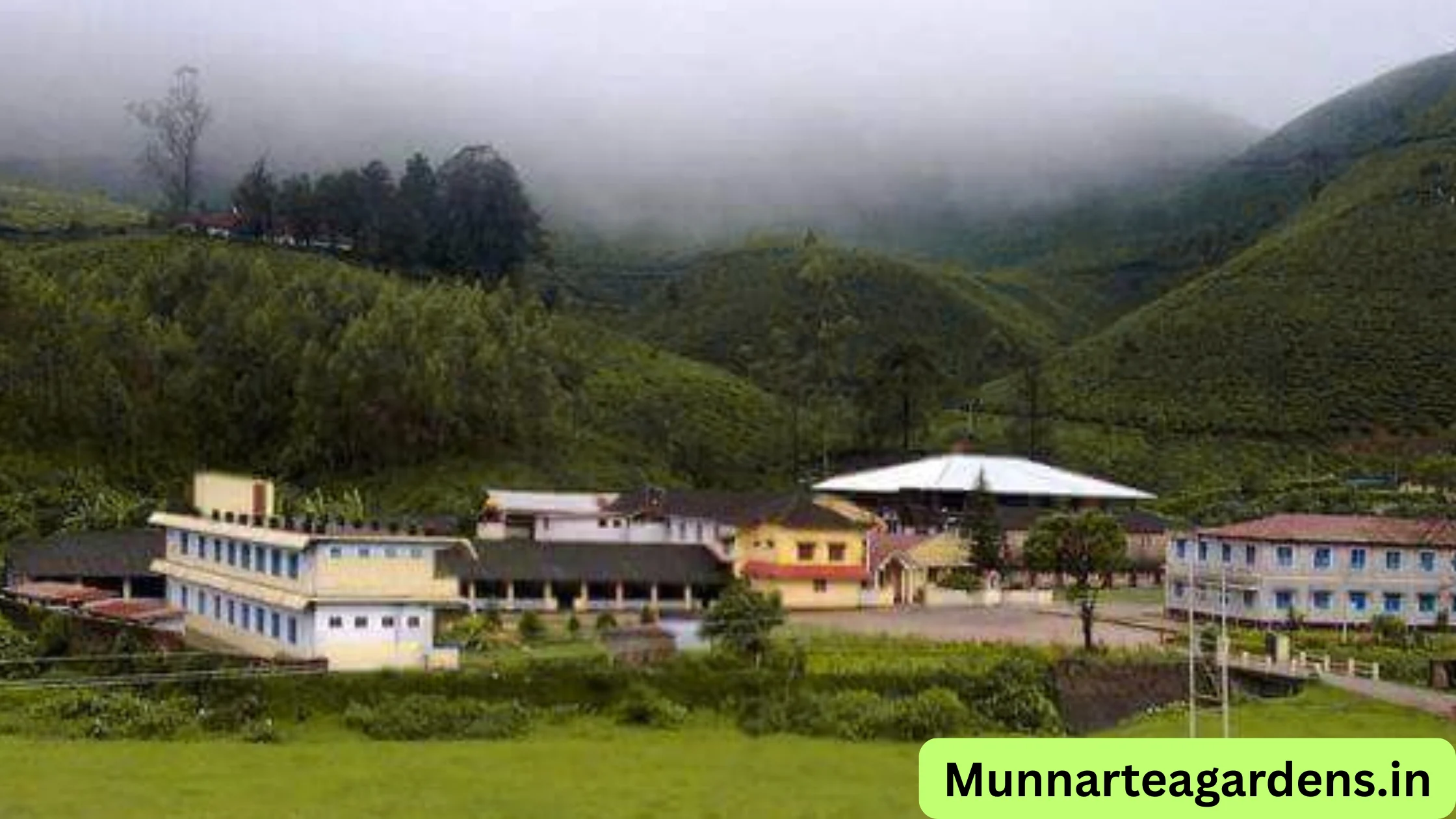 munnar tea factory list