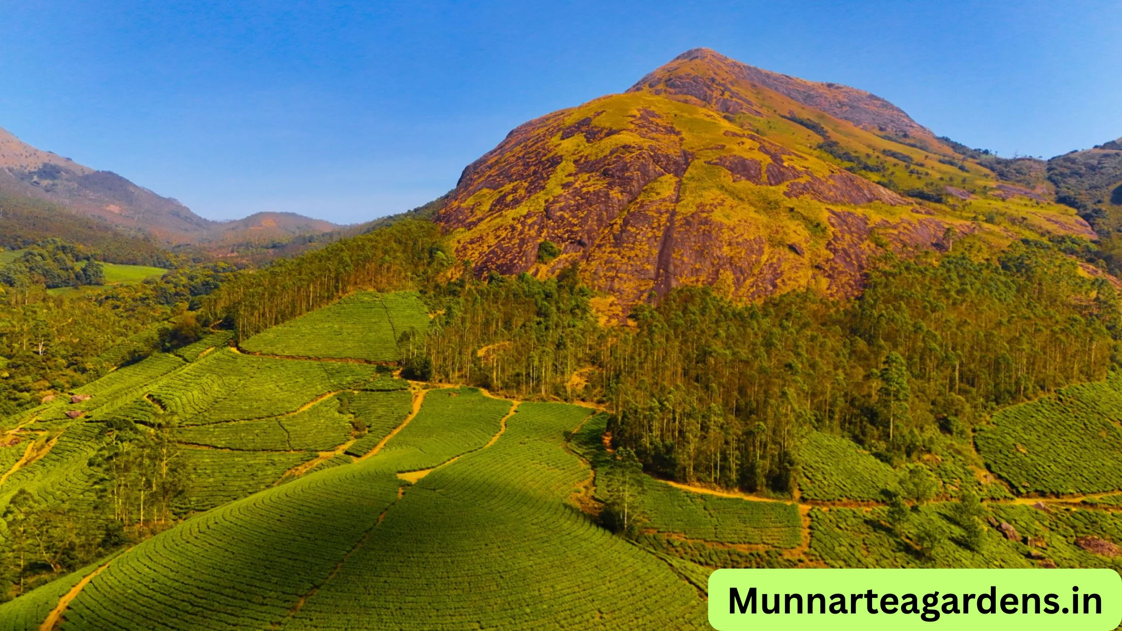 munnar tea garden entry fee