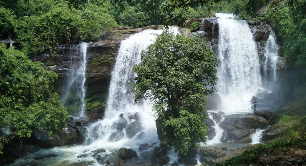 You are currently viewing 7 Secret Waterfalls in Munnar Locals Don’t Tell You About