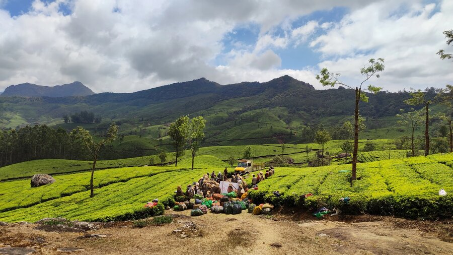Munnar Tea Trail Tour
