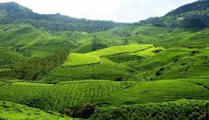 Munnar