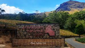 Eravikulam National Park