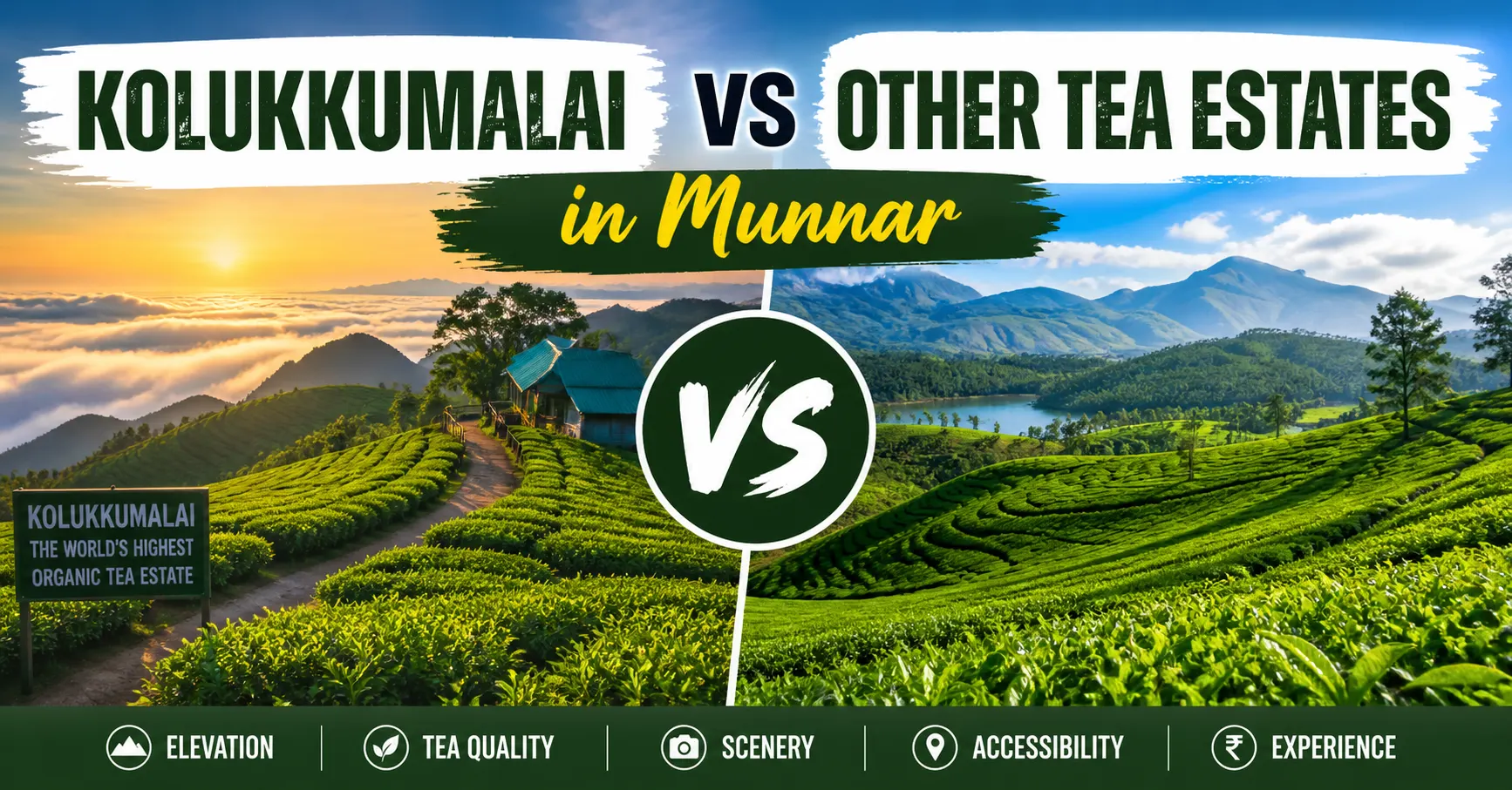Kolukkumalai vs other tea estates Munnar