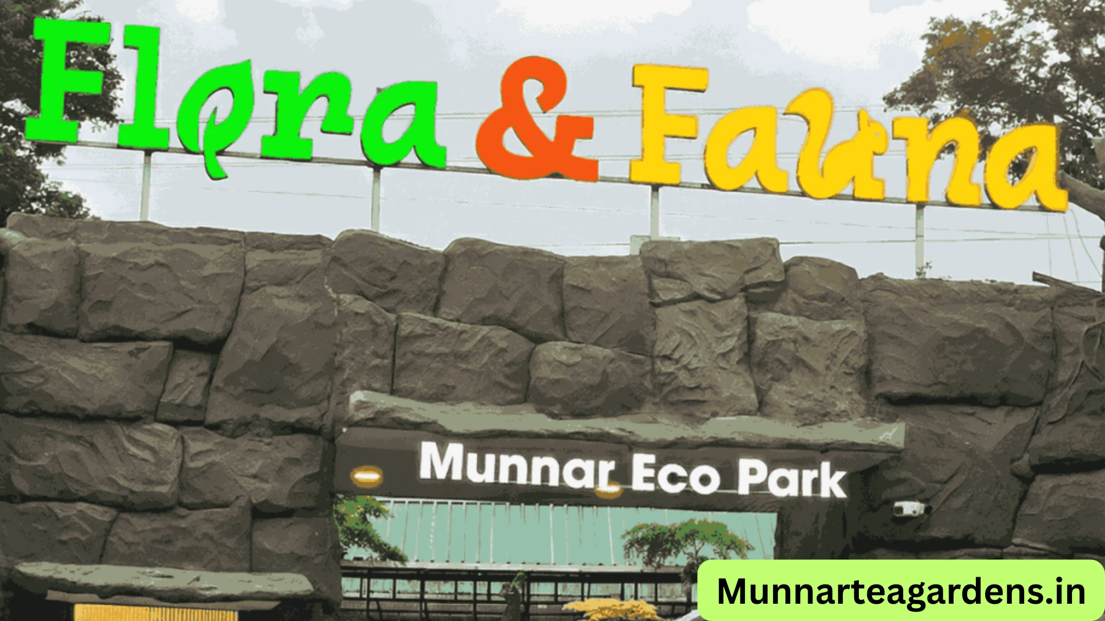 flora and fauna Munnar eco park
