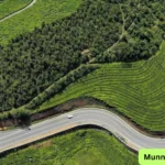 Quiet Tea Garden Roads in Munnar for Bike Rides