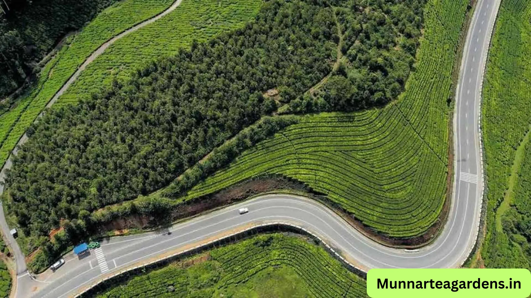 Quiet Tea Garden Roads in Munnar for Bike Rides