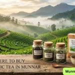 where to buy authentic tea in munnar
