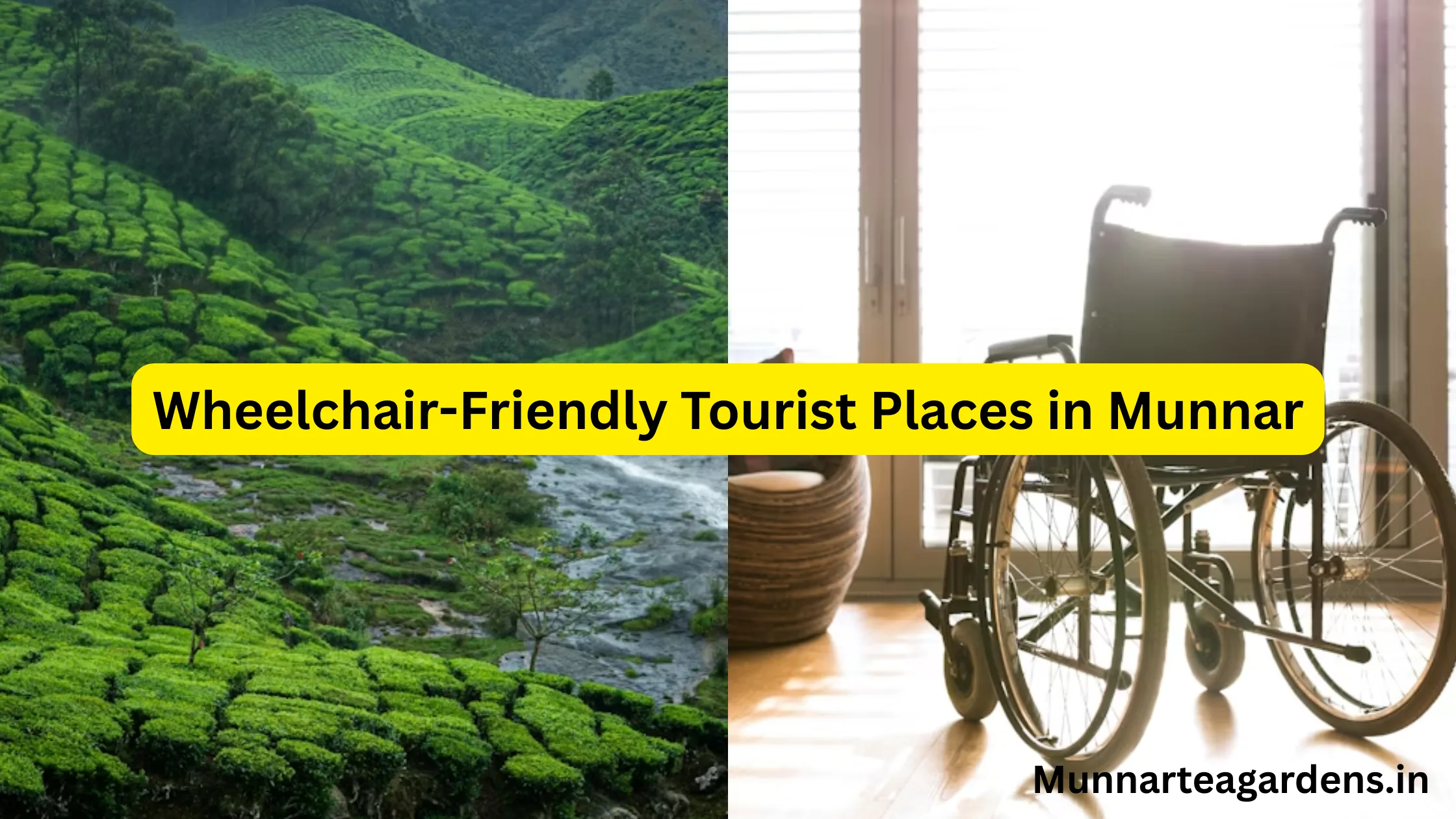 Wheelchair-Friendly Tourist Places in Munnar