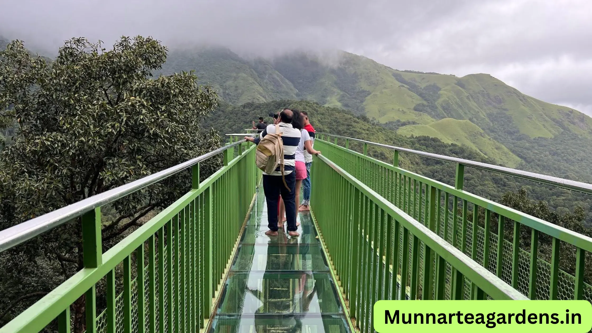 munnar glass bridge entry fee