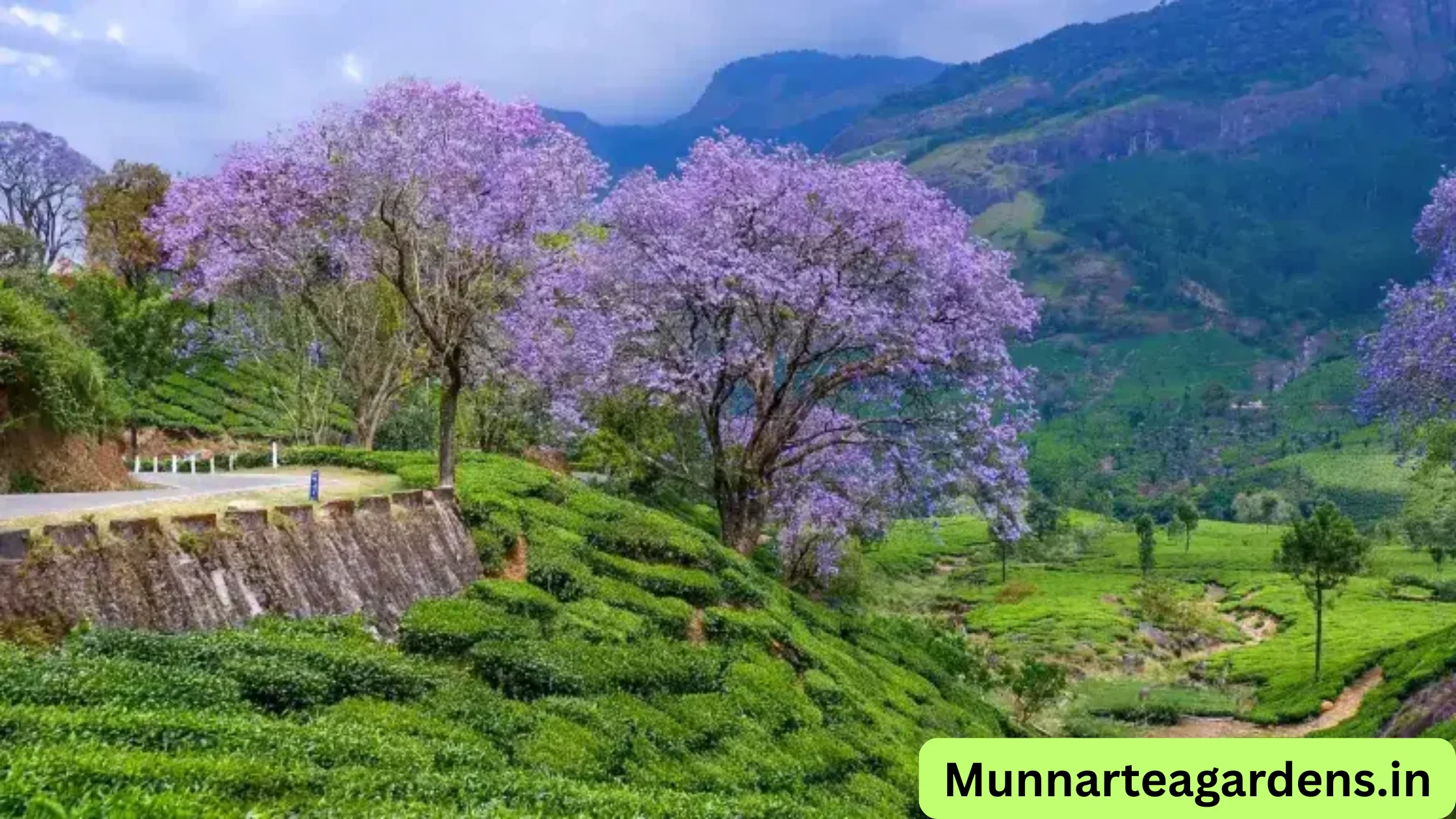 Munnar unexplored places for couples and photographers