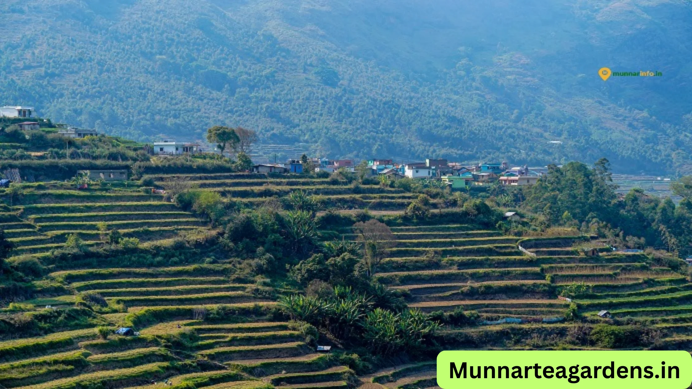 vattavada village travel guide strawberry farms kerala